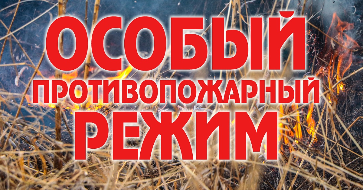 На территории республики установлен особый противопожарный режим.