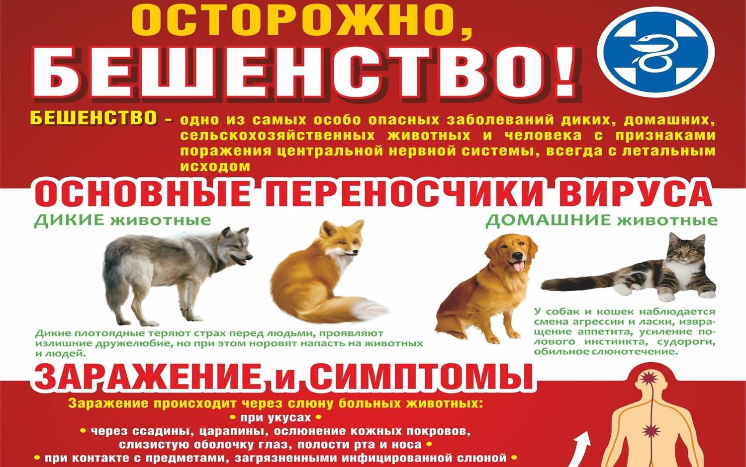 С 31.03.2025г. в Удмуртской Республике стартовал ежегодный месячник по профилактике бешенства.