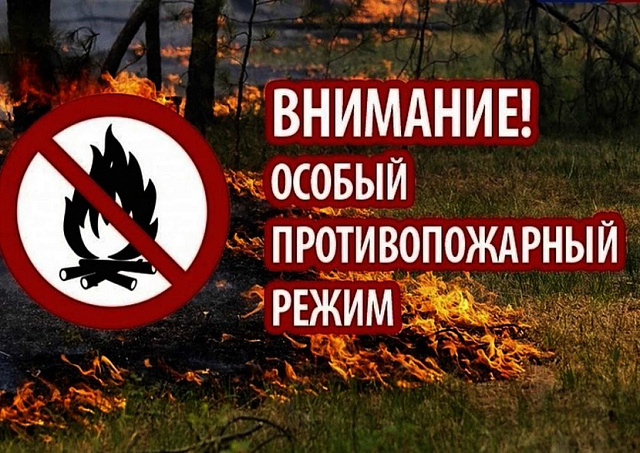 Особый противопожарный режим в Удмуртии.