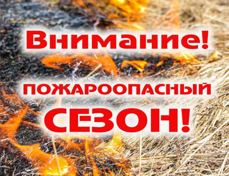В лесах Удмуртской Республики с 25 апреля объявлено начало пожароопасного сезона. В лесах Удмуртской Республики с 25 апреля объявлено начало пожароопасного сезона.