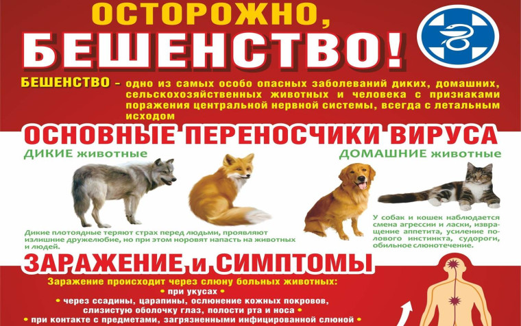 С 31.03.2025г. в Удмуртской Республике стартовал ежегодный месячник по профилактике бешенства. С 31.03.2025г. в Удмуртской Республике стартовал ежегодный месячник по профилактике бешенства.